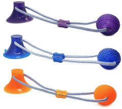 Spot Press and Pull Interactive Dog Toy Assorted Colors