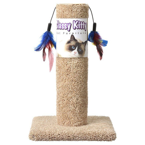 North American Classy Kitty Cat Scratching Post with Feathers